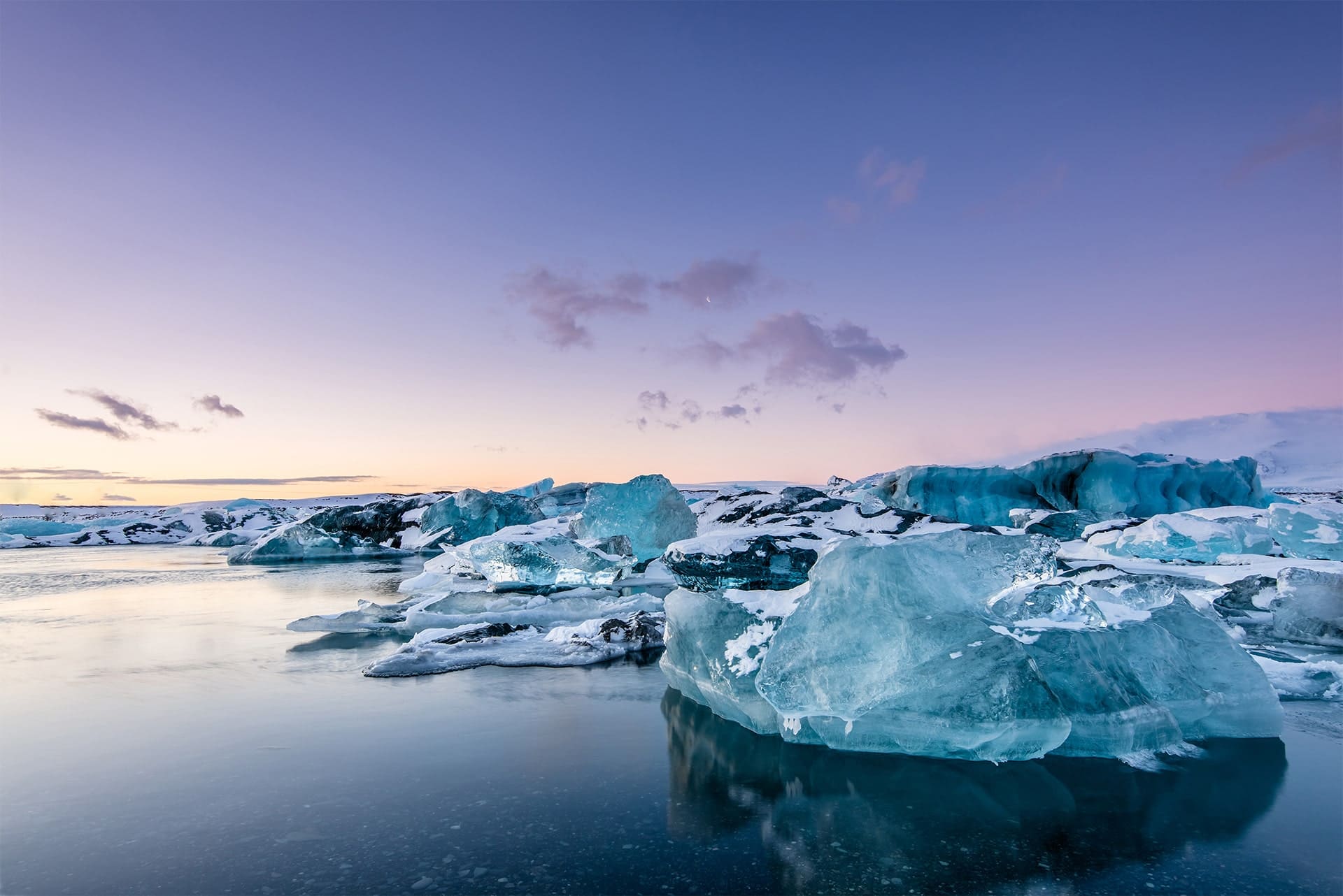 マナベル・リブレ